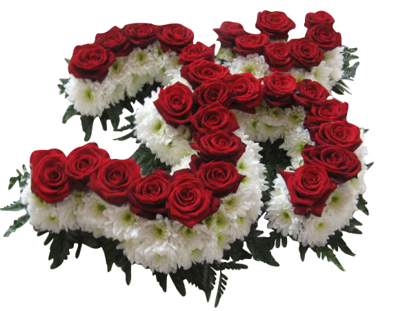 Red White & Green Aum Tribute