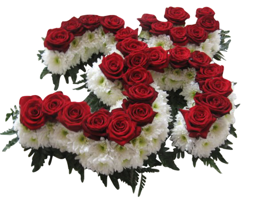 Red White & Green Aum Tribute