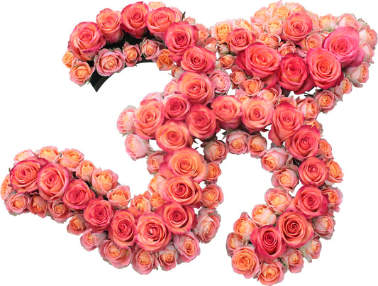 Pink & Red Aum Tribute