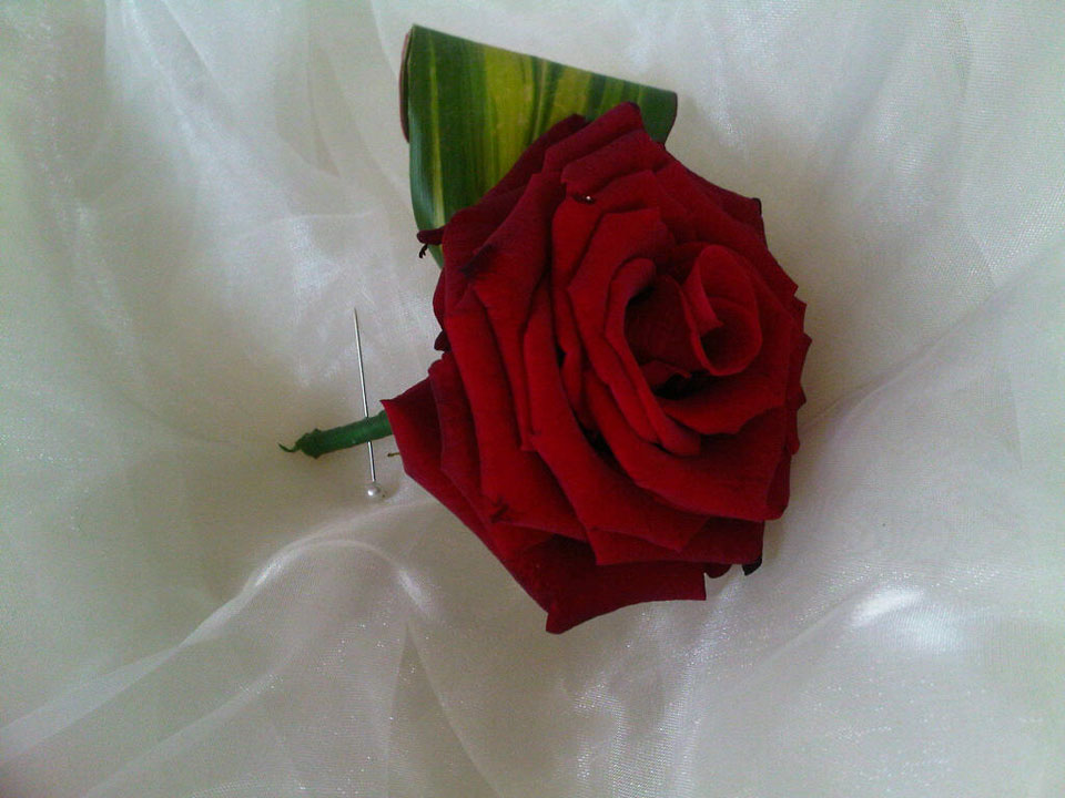 Red Rose Wedding Buttonhole